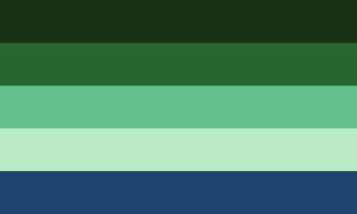 Unit aro flag without the symbol